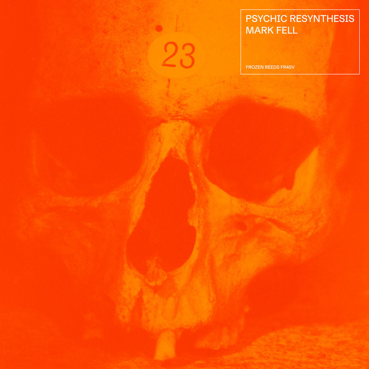 Mark Fell - Psychic Resynthesis (2LP)
