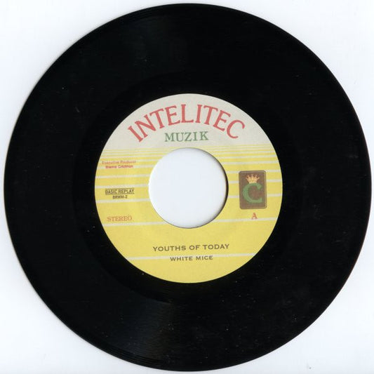 White Mice - Youths of Today (7")